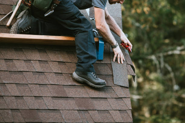 Best Roof Leak Repair  in Bloomfield, IA